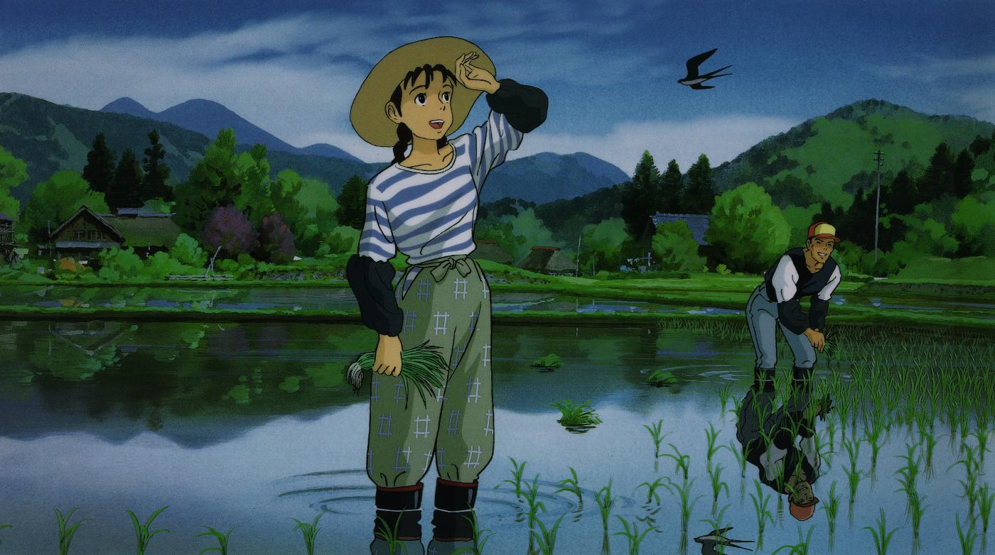 Grave of the Fireflies Reelviews Movie Reviews