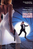 Living Daylights, The Poster