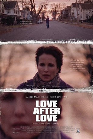 Love After Love Poster